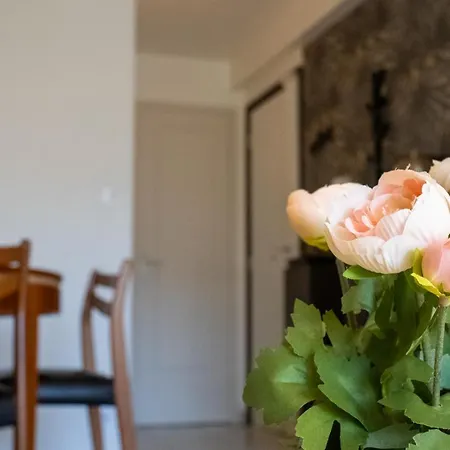 Et Cosy, A 100m De La Avec Terrasse Lägenhet Cannes